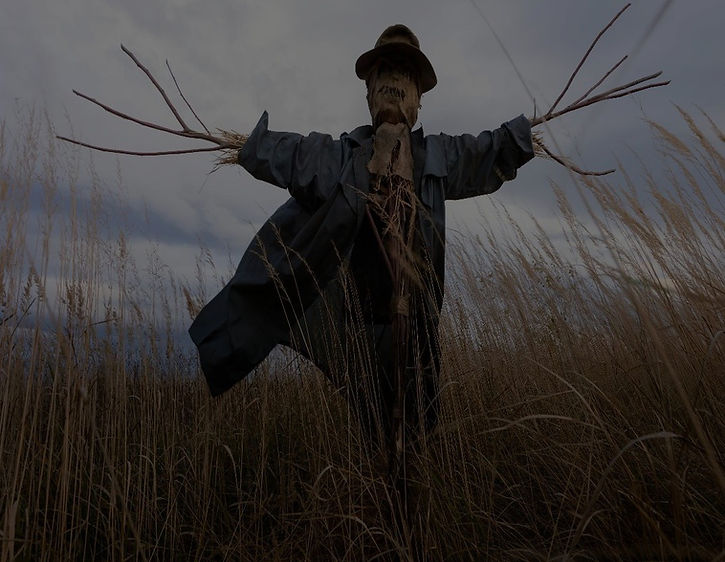Scarecrow%20Stretched%20cropped_edited.jpg