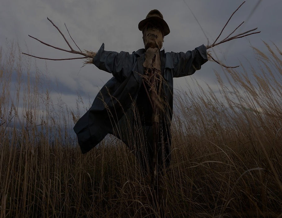 Scarecrow%20Stretched%20cropped_edited.jpg