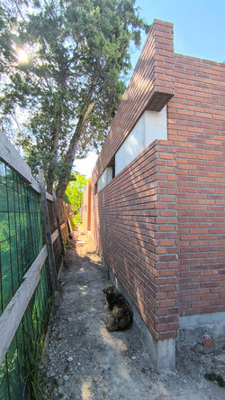 IMG_20241004_153908 (1)