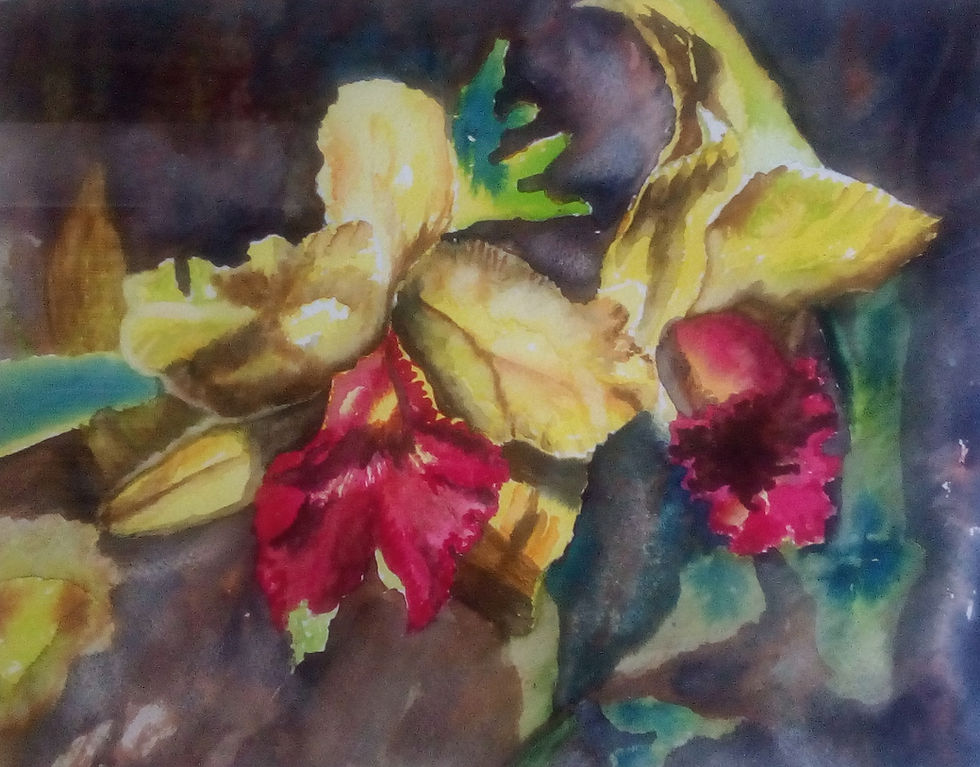 Orquídeas
