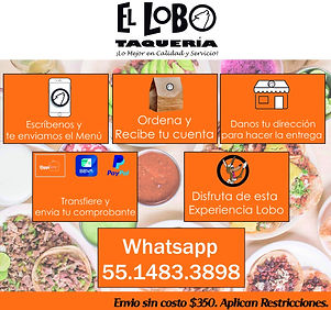 El Lobo Taqueria