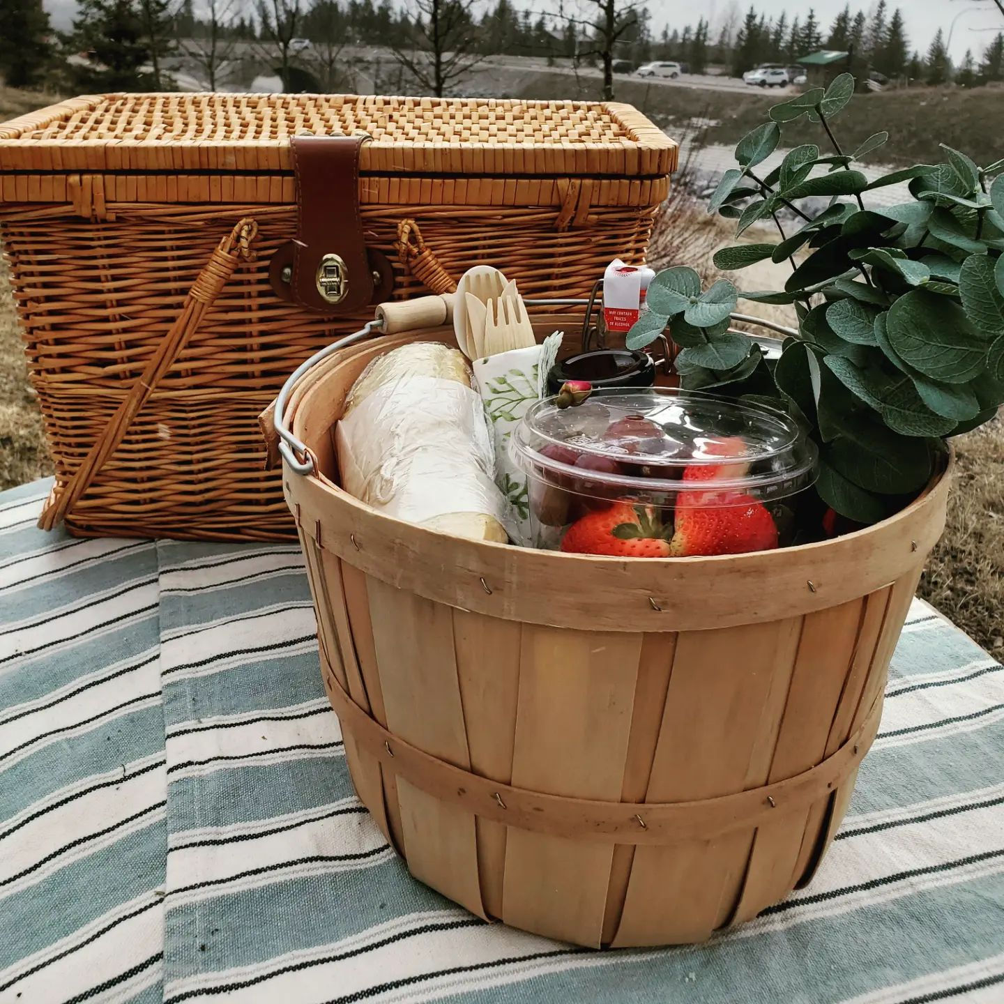 A Picnic for 2.
