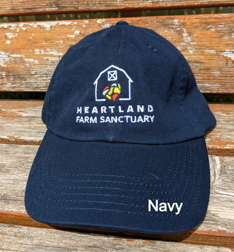 Hcf Capes HFS Embroidered Baseball Cap | HFS Webstore