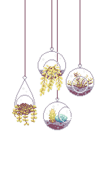 Serene Bunch_edited.png