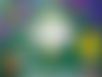 DWPS Carnival - THE AURORA 2025