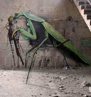 Screen Shot 2023-12-10 at 12.42.34 AM.png