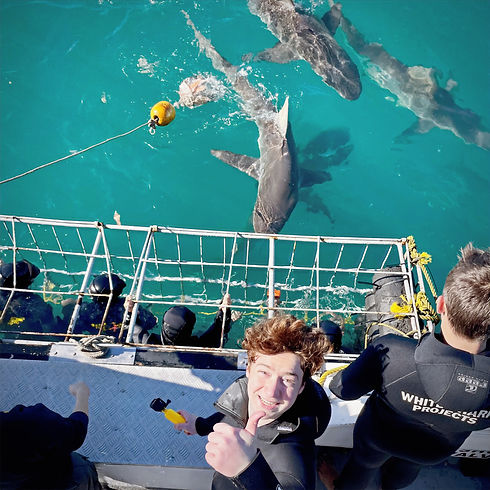 Student excited to see a shark when cagediving