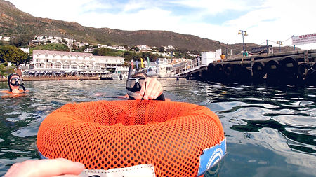 sea bins