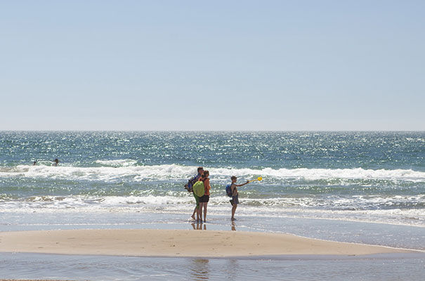 IOW Beaches