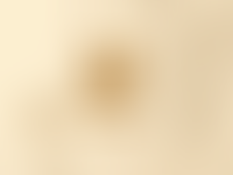 The New Language of AI Leadership: How to Lead with Confidence in AI-Driven Environments