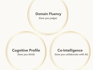 The Envisago AI Capability System™