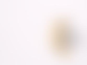 Why AI Investment Rarely Becomes Enterprise Value