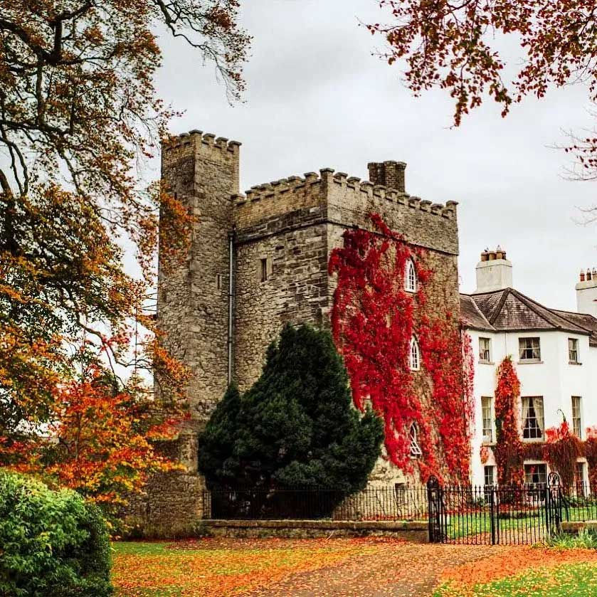 Barberstown-Castle-1.jpg