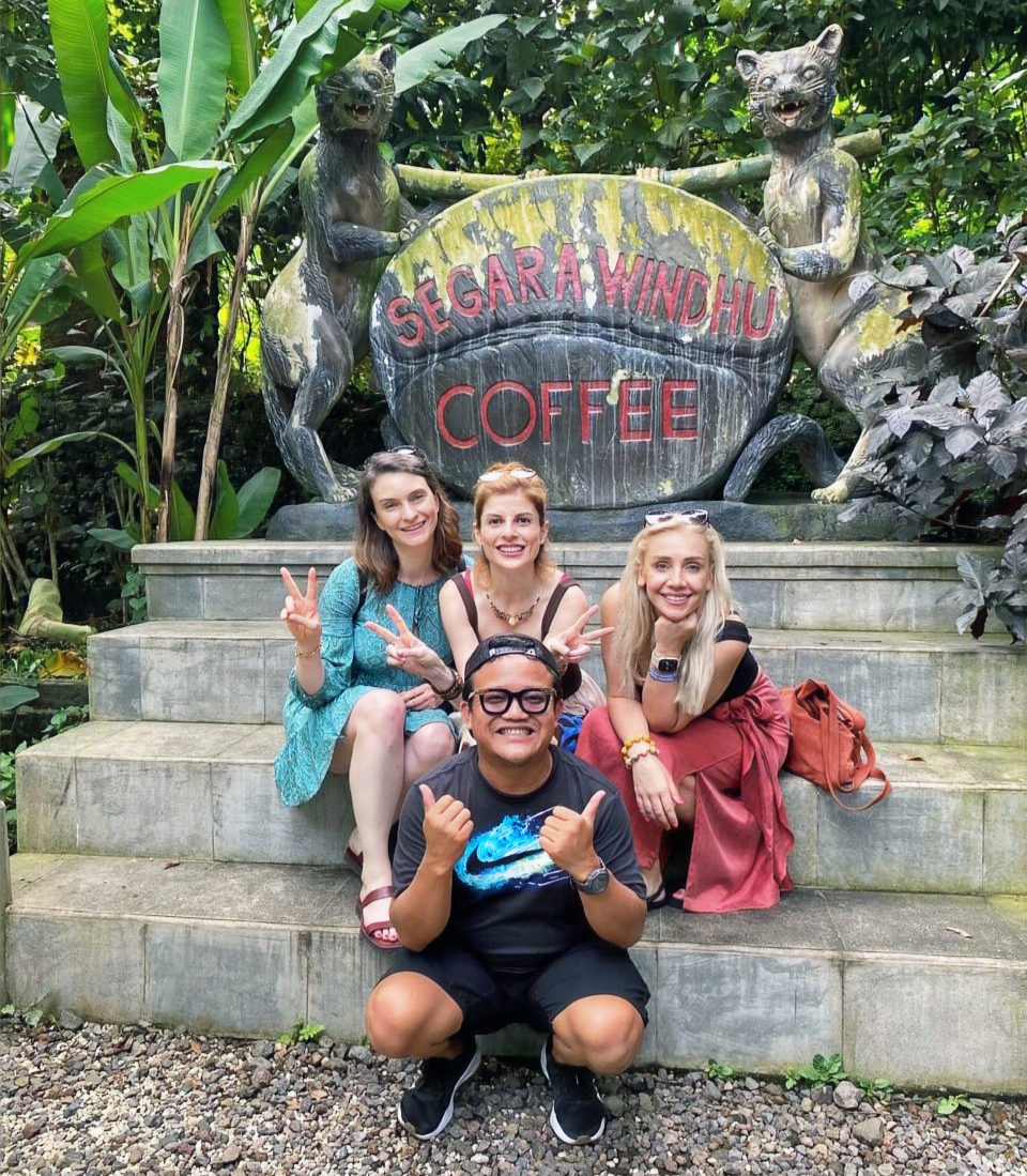 Bali swing & waterfall excursions