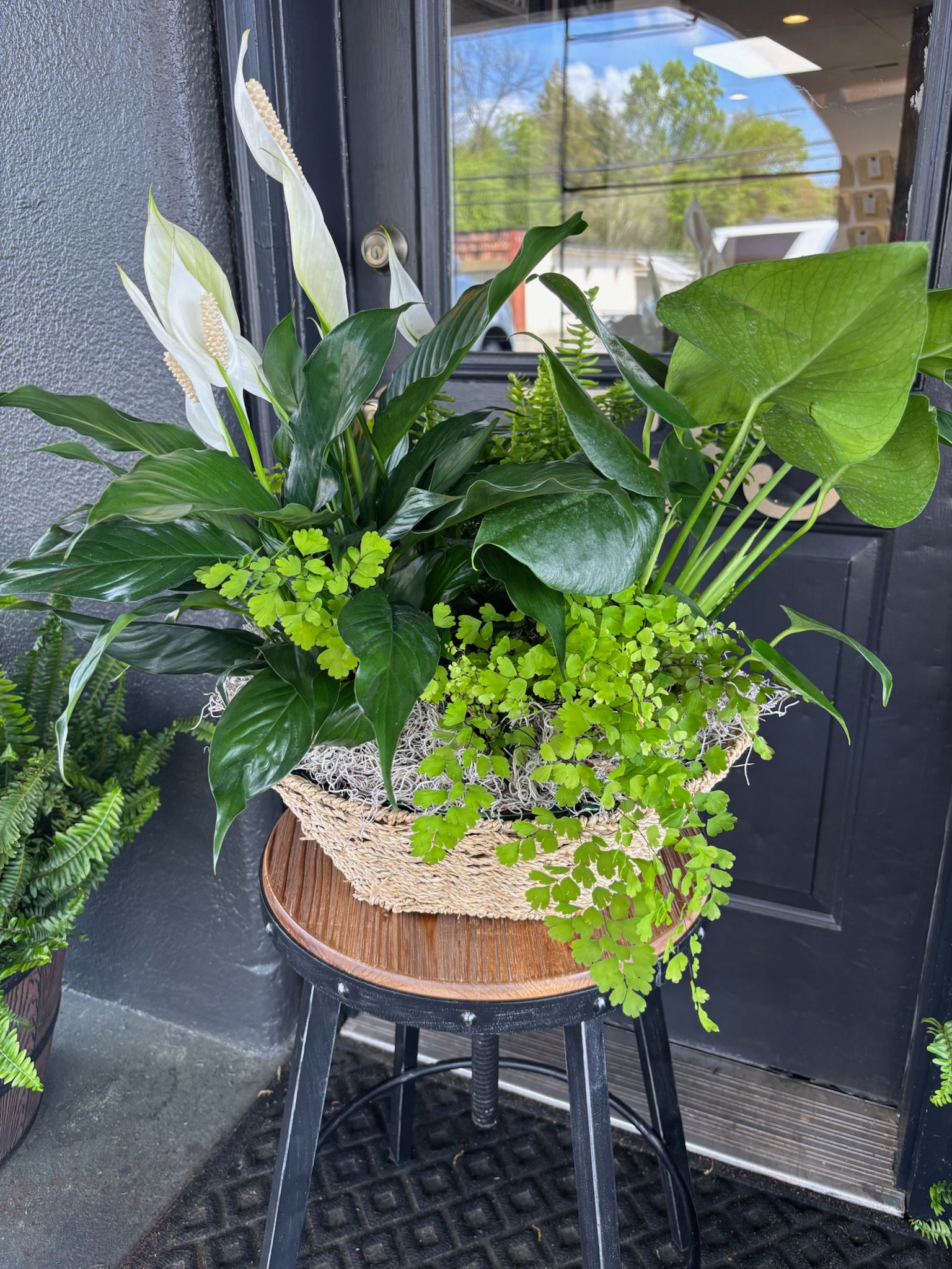 Three Plant Basket