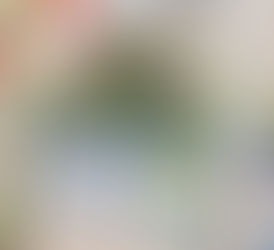 2020年6月11日　五ツ木の高校入試模擬テスト会再開