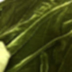Thumbnail: Green Crush Velvet Fabric #00200
