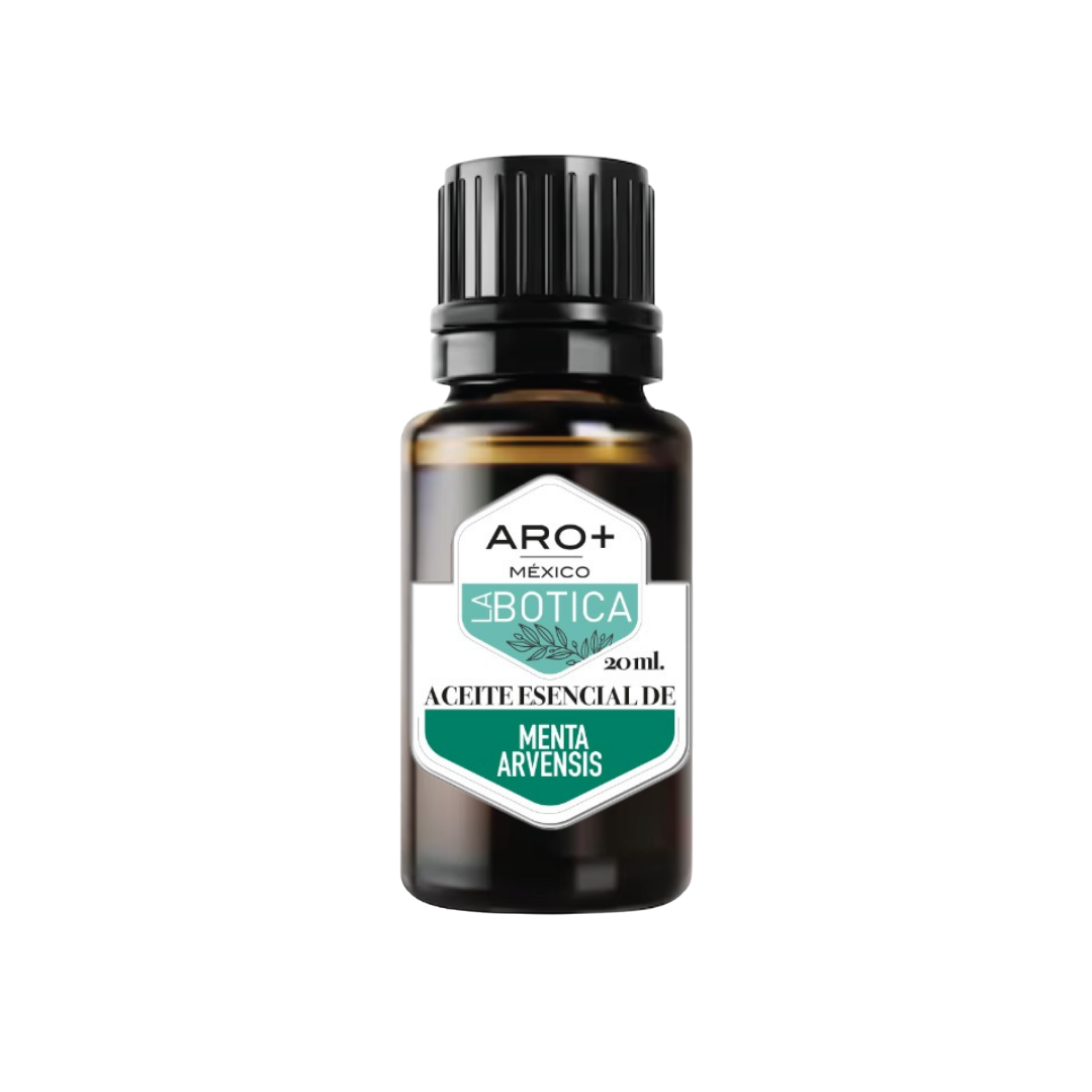 Aceite Esencial Menta Arvensis, Aromaterapia, Puro, Uso Terapéutico