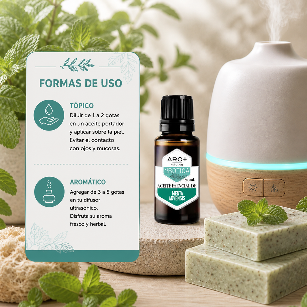 Miniatura: Aceite Esencial Menta Arvensis, Aromaterapia, Puro, Uso Terapéutico
