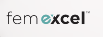 femexcel.png