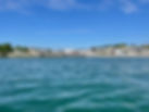 IMG_6310.jpeg