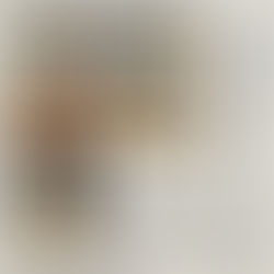 平成28年度妙高市民の心推進大会