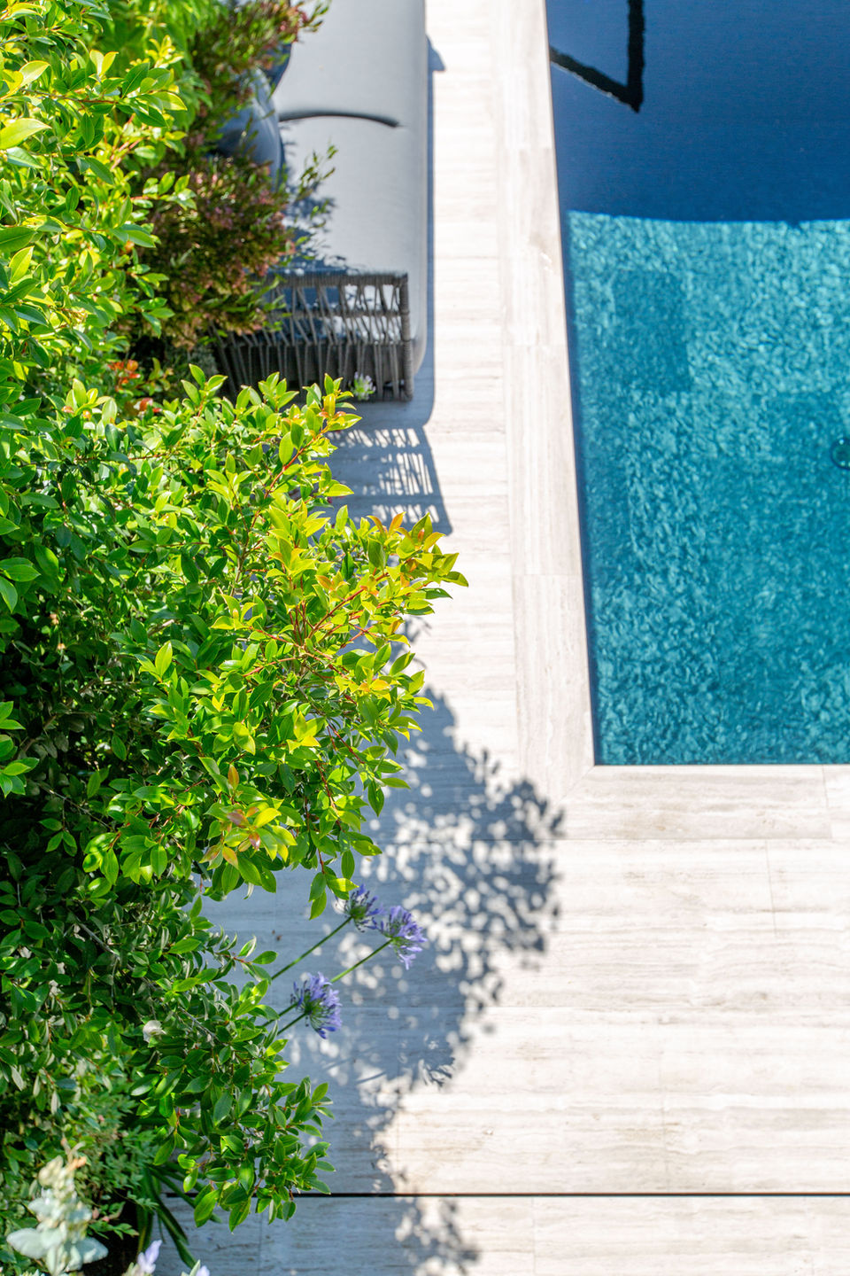 aménagement végétal piscine