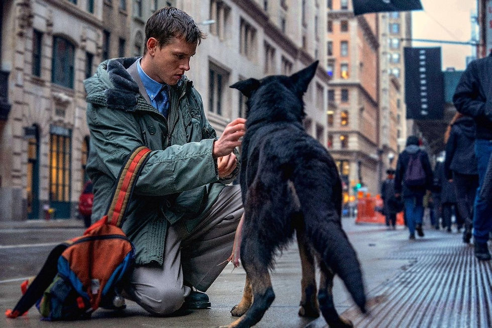 Babygirl, Halina Reijn