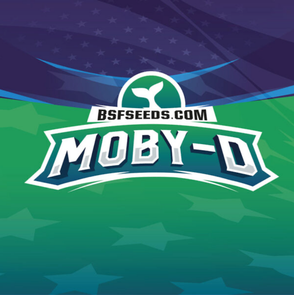 Miniatura: Moby D XXL Auto