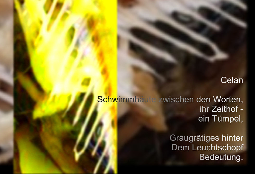 Schwimmhäute
