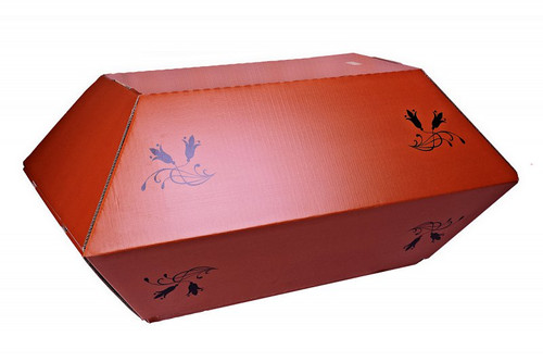 Cercueil Carton Pour Animaux Lesmarbresduparadis Cercueil Carton Pour Animaux Lesmarbresduparadis