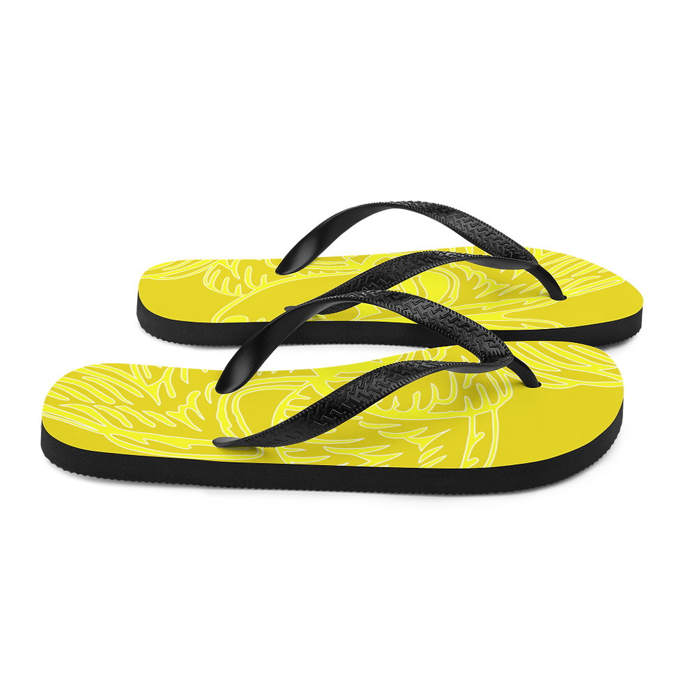 Thumbnail: Flip-Flops