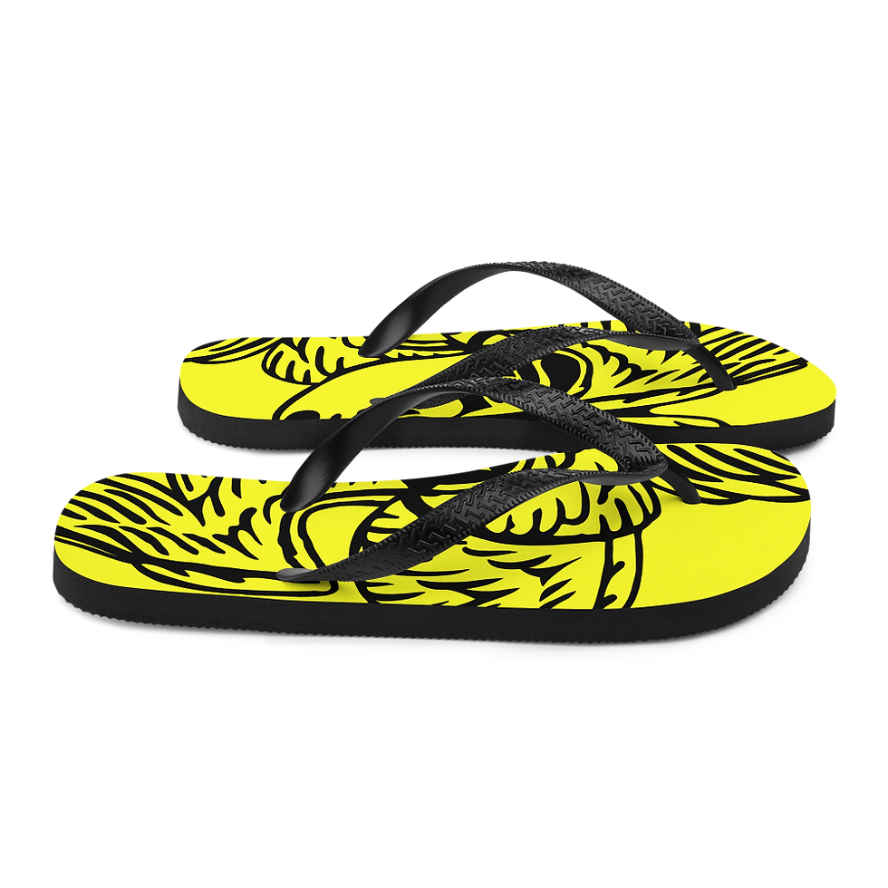 Thumbnail: Flip-Flops