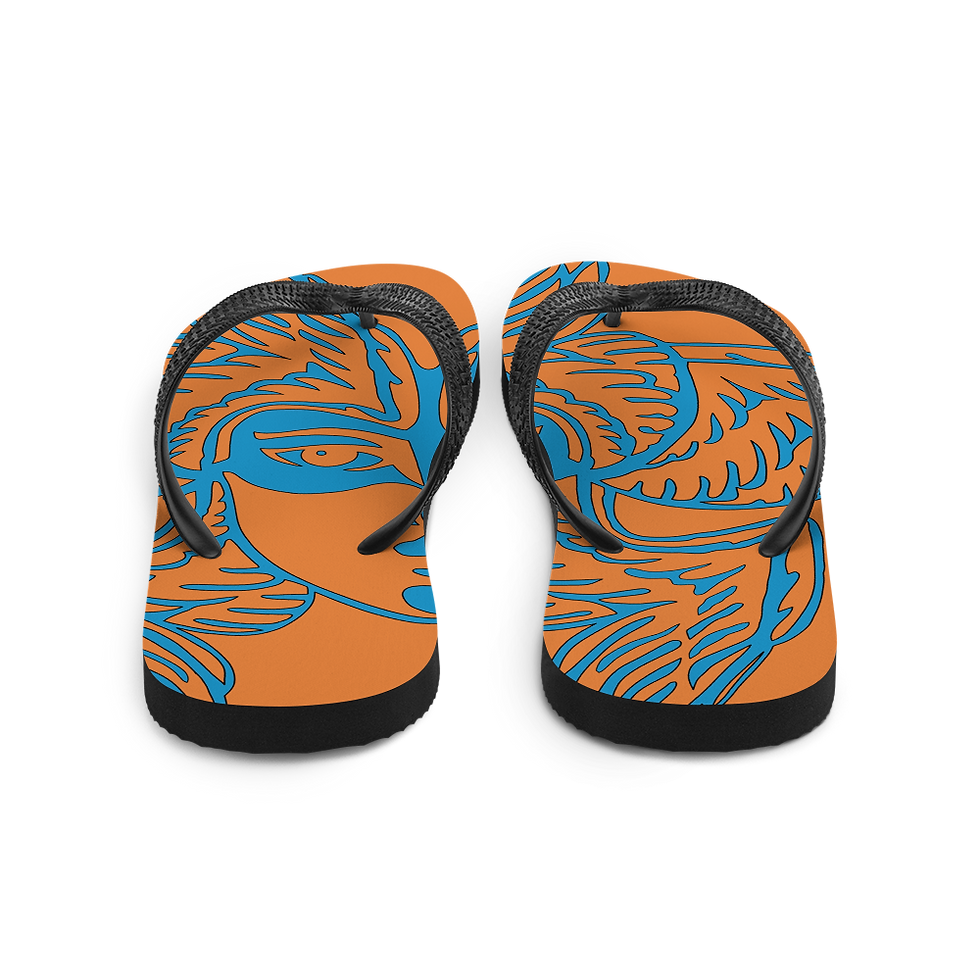 Thumbnail: Flip-Flops