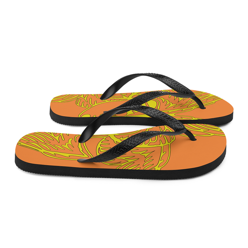 Thumbnail: Flip-Flops