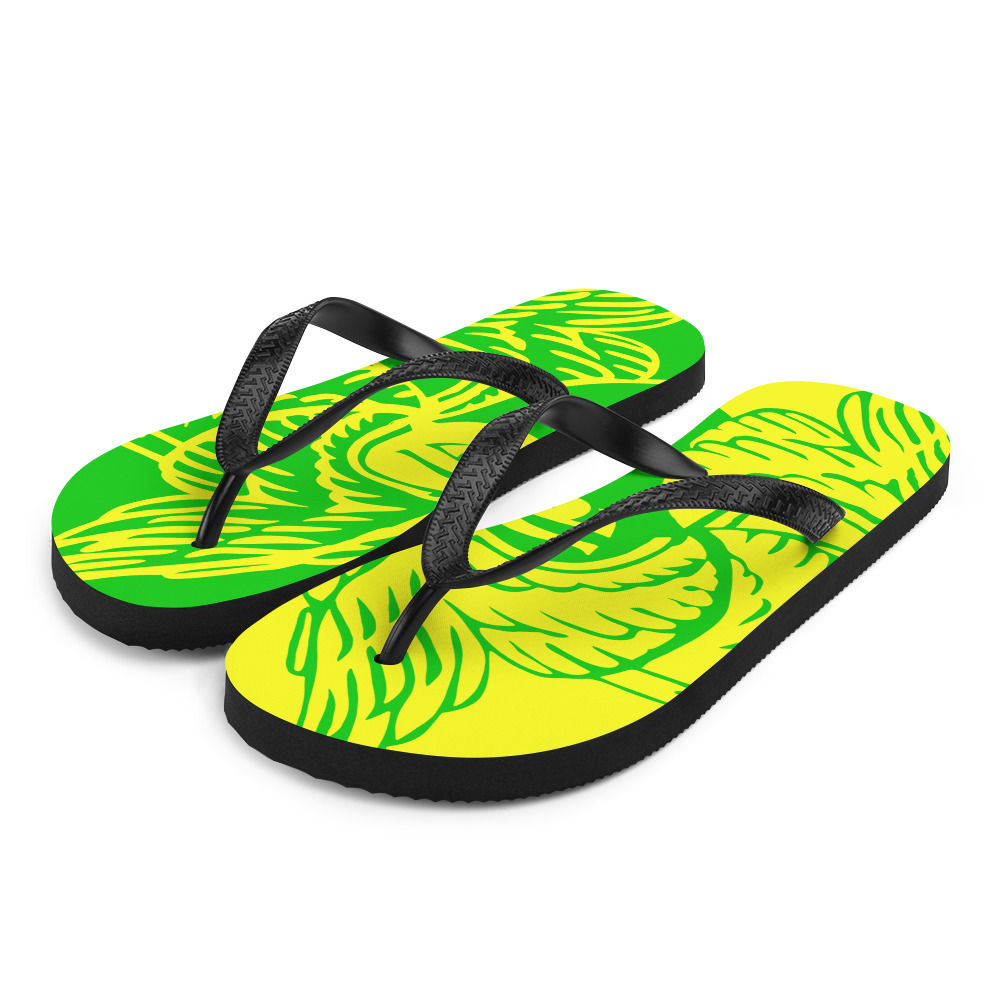 Flip-Flops