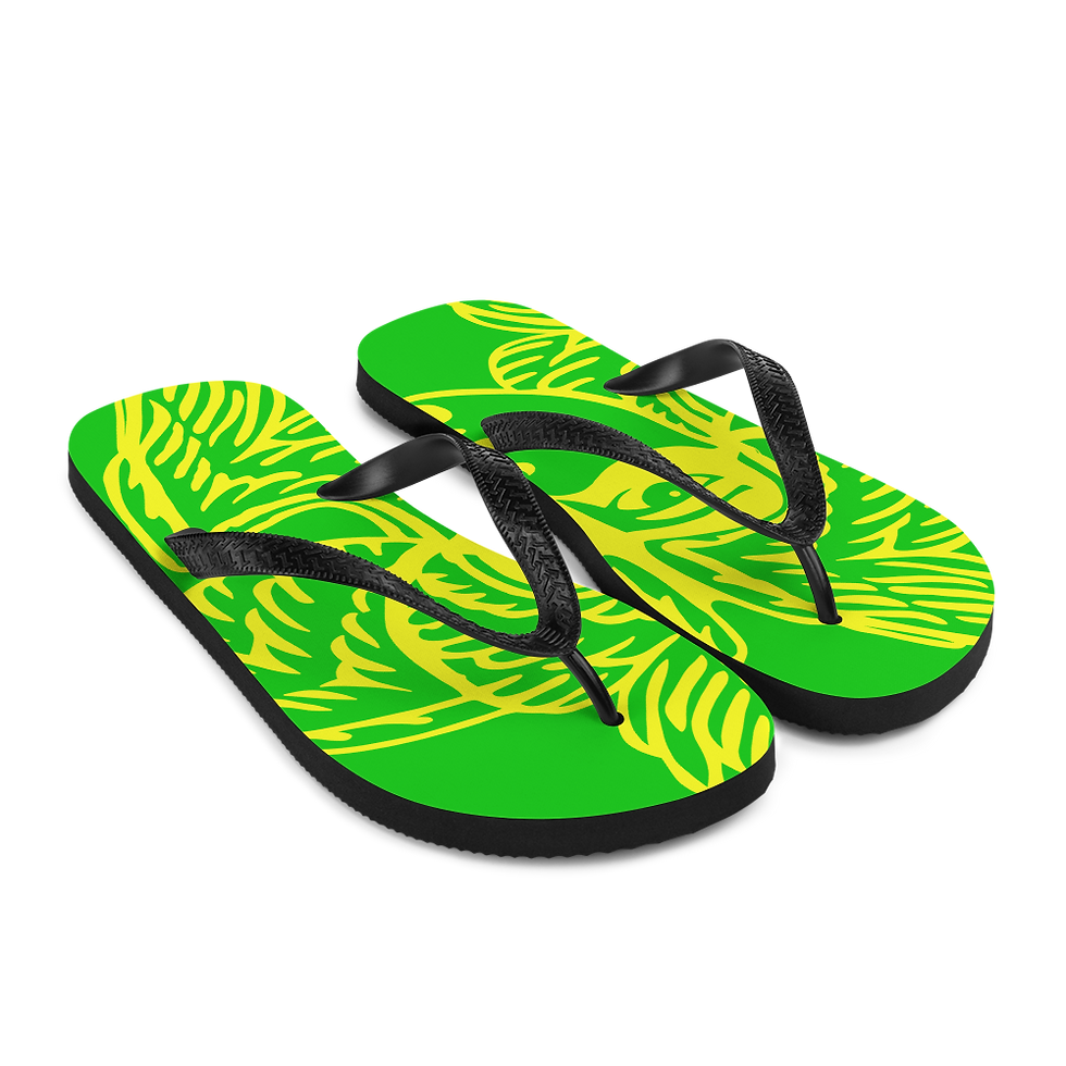 Thumbnail: Flip-Flops