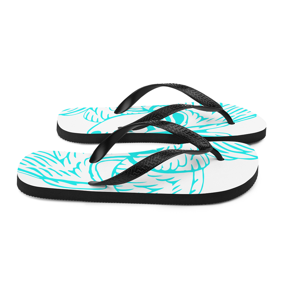 Thumbnail: Flip-Flops