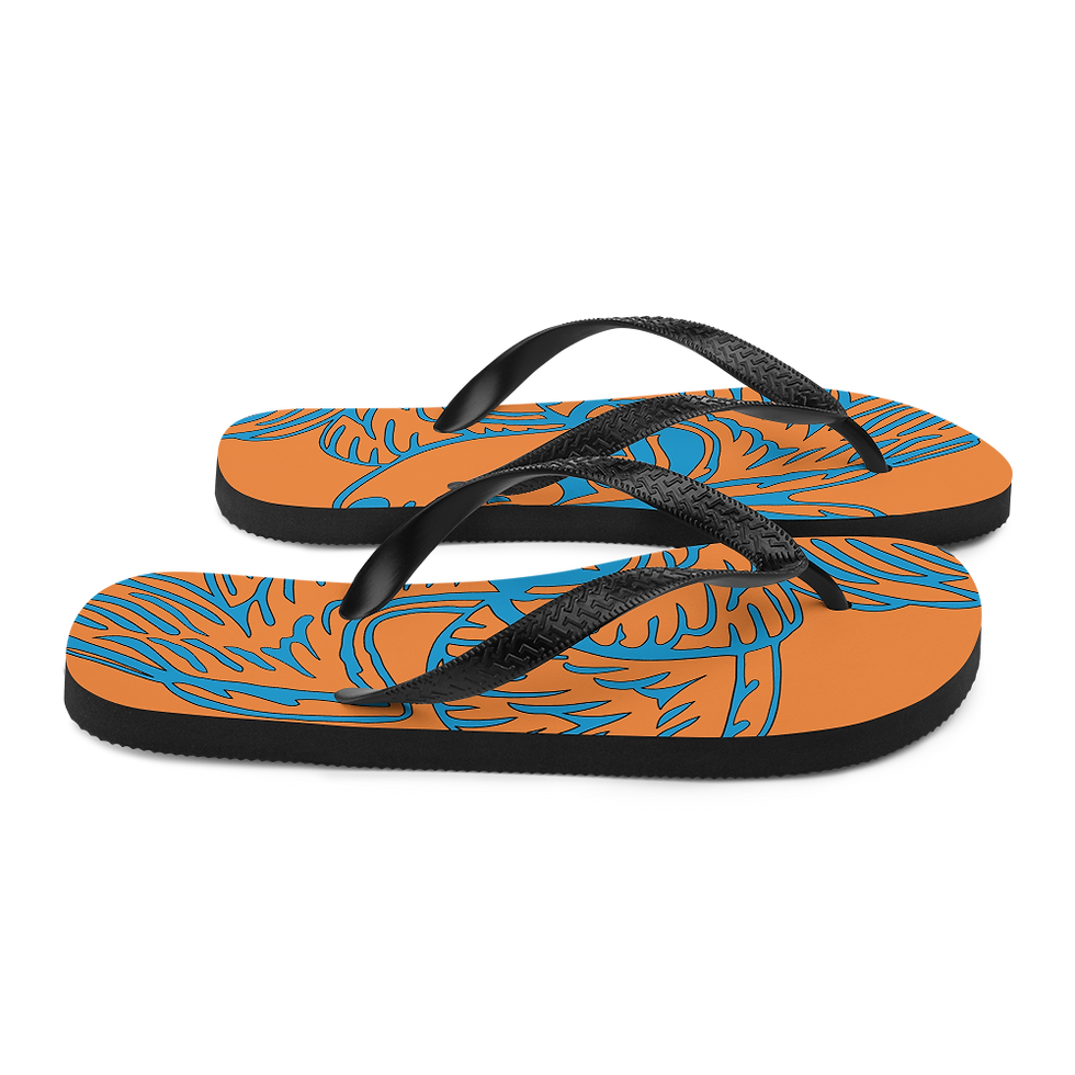Thumbnail: Flip-Flops