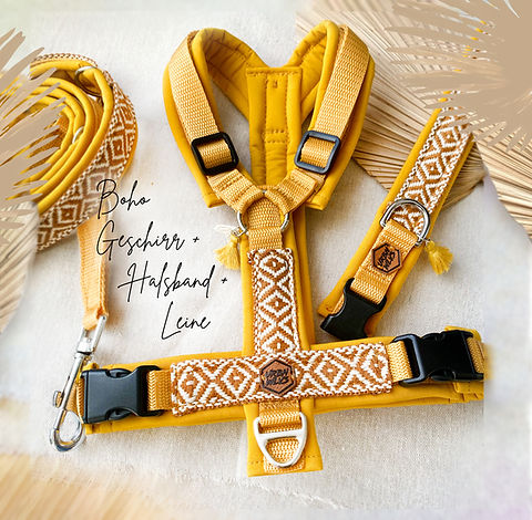 Set Boho Geschirr + Halsband + Leine | Urban Wolves