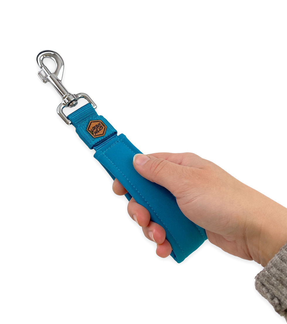 Miniaturbild: Individueller Kurzführer