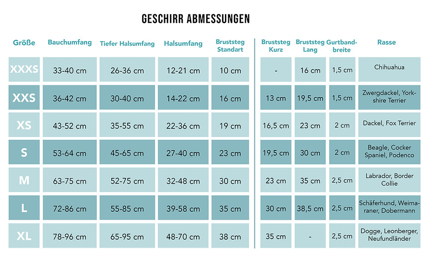 geschirr maße 2024.jpg