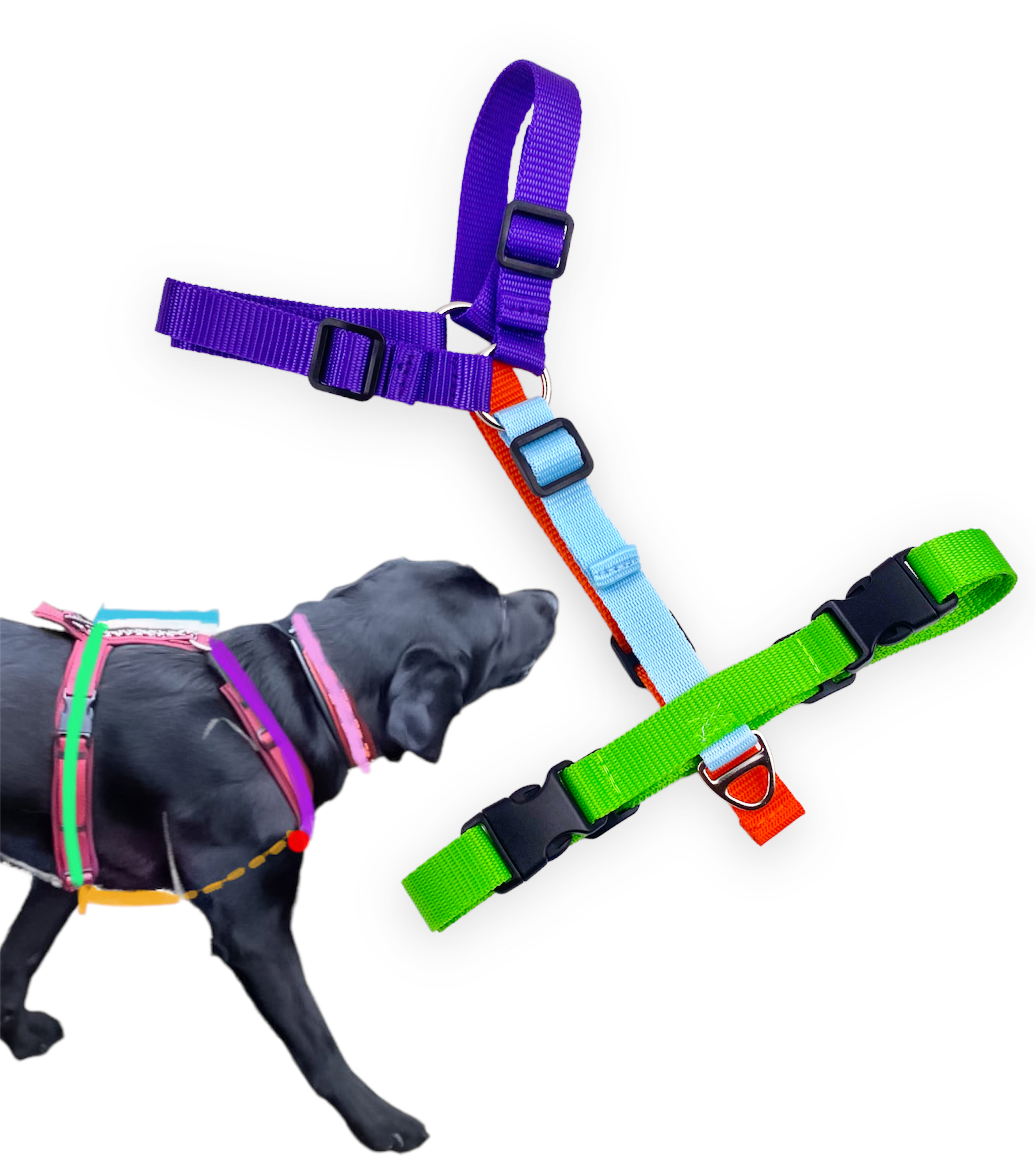 Leih-Anprobe Geschirr