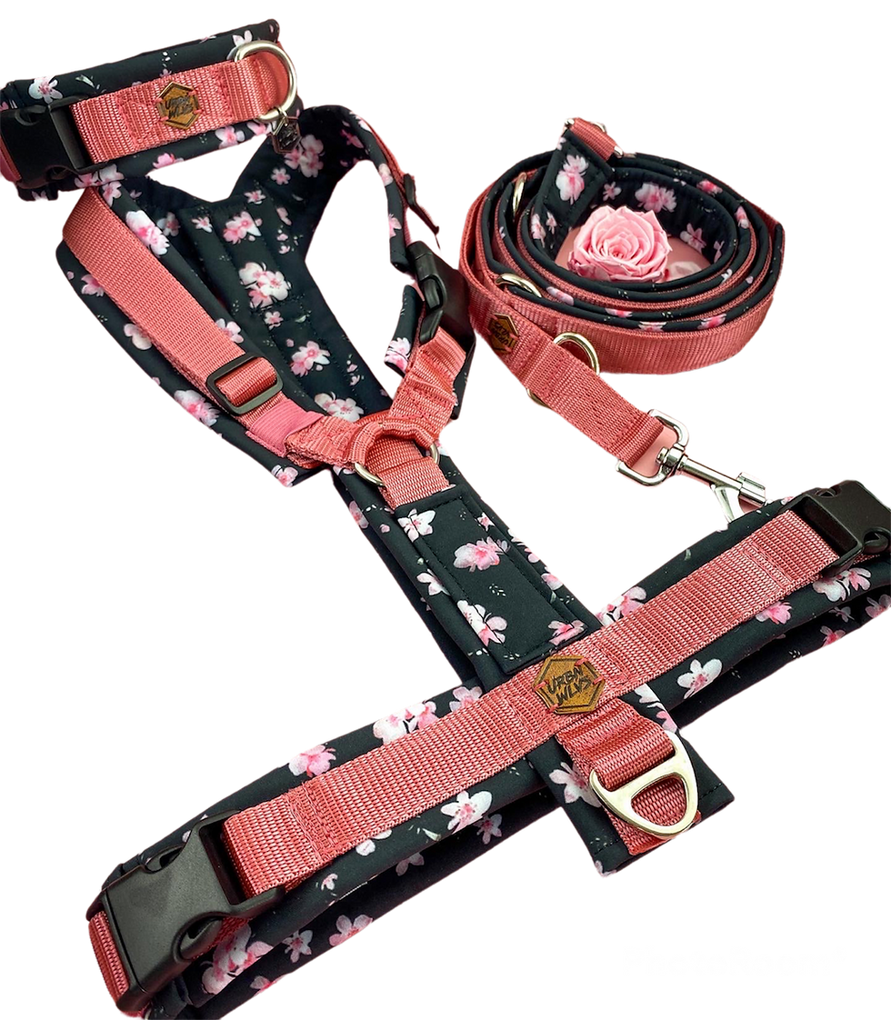 Miniaturbild: Zusatzoption für Y-Geschirr - Stoff auf Rückensteg / Bruststeg