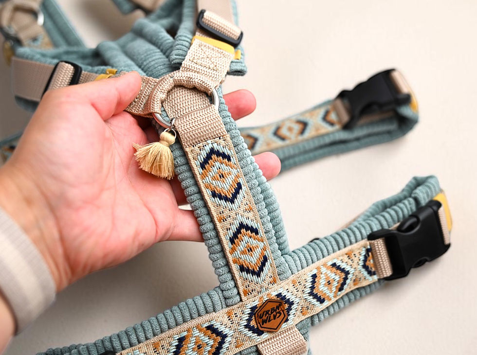 Thumbnail: Pure Line - Boho Geschirr Cord Sea Green
