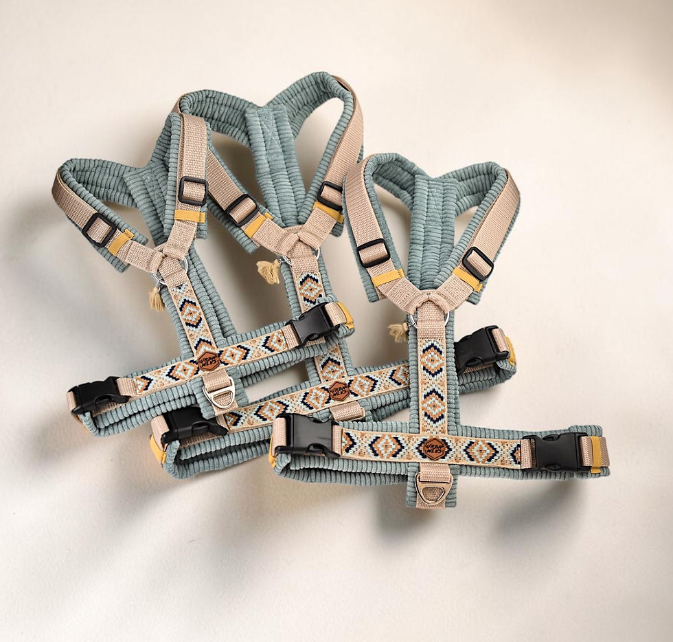 Thumbnail: Pure Line - Boho Geschirr Cord Sea Green