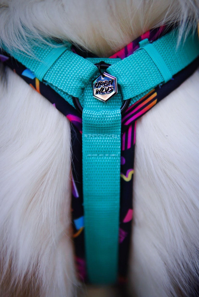 Miniaturbild: Individuelles Y-Geschirr