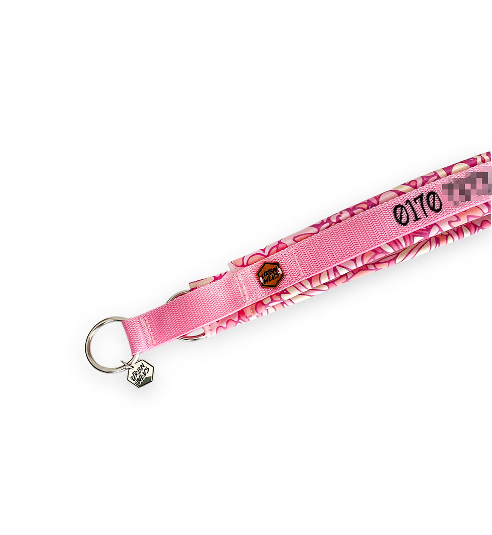 Miniaturbild: Individuelles Zugstopp Halsband Verstellbar