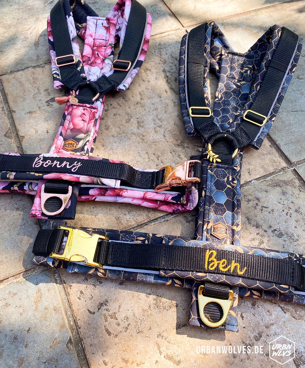 Miniaturbild: Individuelles Y-Geschirr