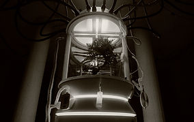 TLT PRESS IMAGES_07_01_24_13.jpg